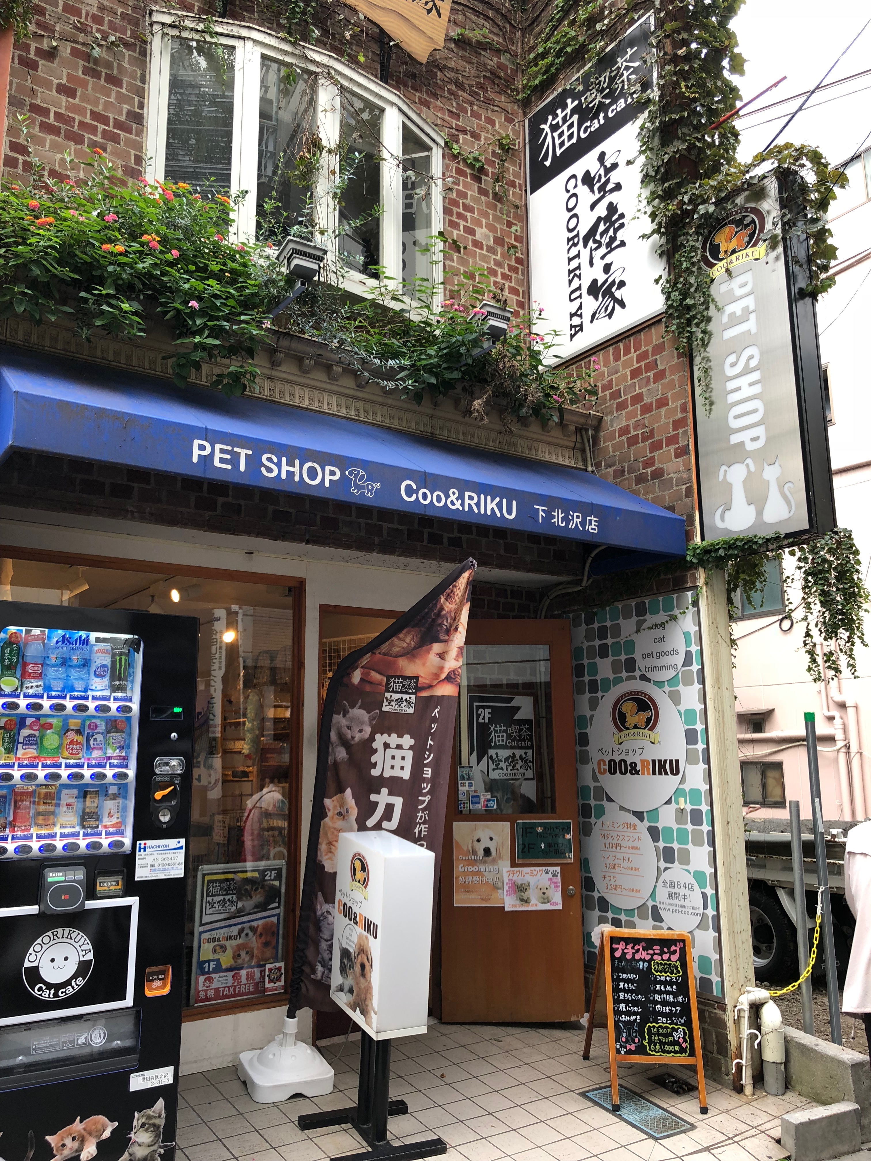 the nearest pet shop